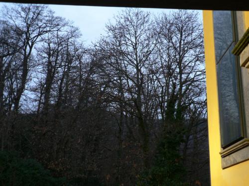 Benito Al Bosco - main image