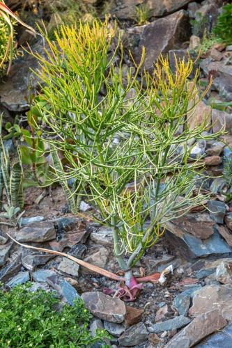 Karoo Mountain River House Karoo Mountain River House