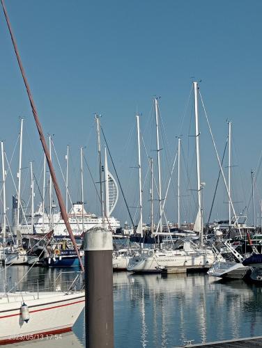 B&B Gosport - Beautiful Marina Apartment with private garden, flexible bedrooms with zip & link beds - Bed and Breakfast Gosport