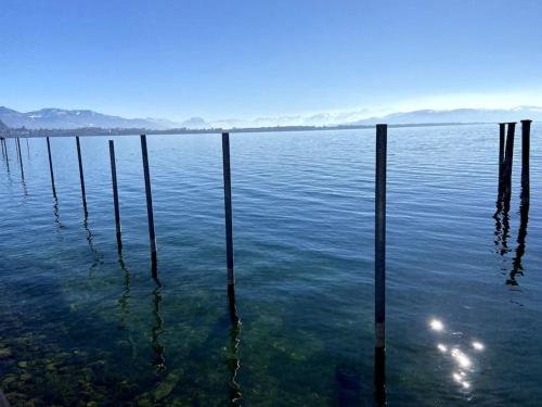 Bodensee Loft in Strandnähe