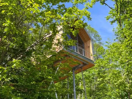 Baumwipfelhaus in Annweiler am Trifels, Deutschland