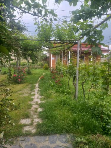 Cottage and Gigo Papa's Wine Cellar