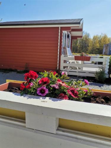 Pakri Parun Pakri Parun