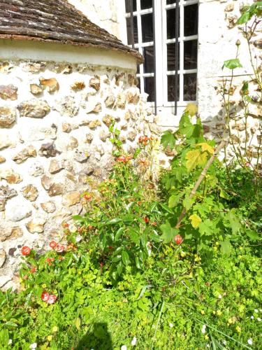 Maisonnette indépendante au bord du loir - Location saisonnière - Saint-Christophe