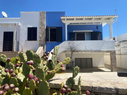  Villa fronte mare in 73055 Torre Suda