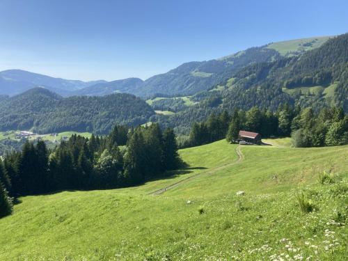  www Ferienhuette-Gschwend at, Unterkunft in Bizau
