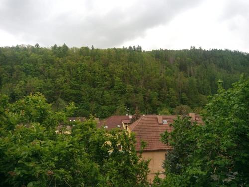 Nižbor samostatný domek v zahradě (Nizbor samostatny domek v zahrade) in Novy Jachymov