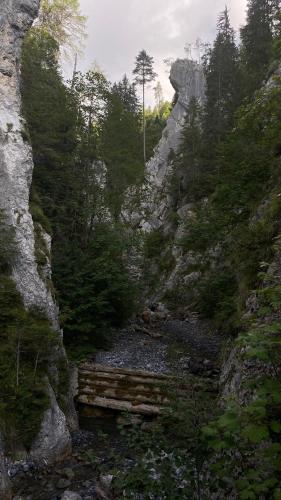 Wohnung in Kärnten Nähe Millstättersee