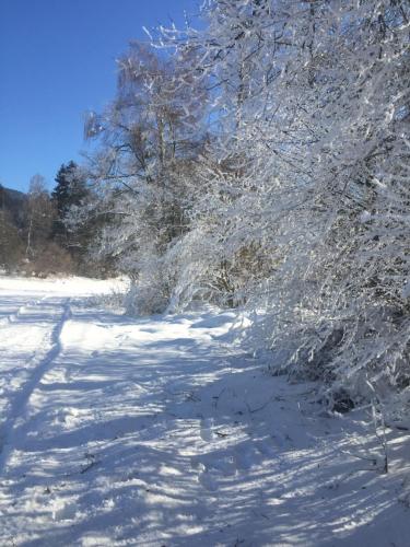 Wohnung in Kärnten Nähe Millstättersee