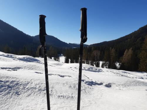 Wohnung in Kärnten Nähe Millstättersee