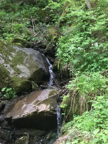 Wohnung in Kärnten Nähe Millstättersee