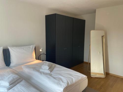 Modern 3BDR Duplex with Skyroof in Trendy Zurich West, Curych (fotografie 3)