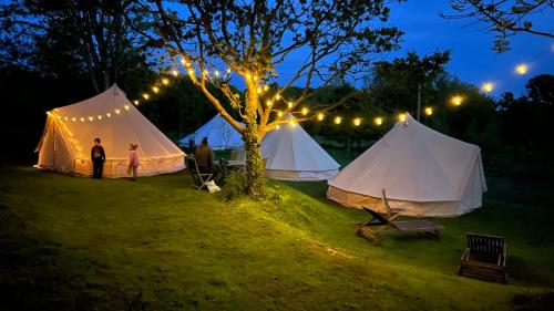 Jardim, Glamping at Camp Corve in Chale