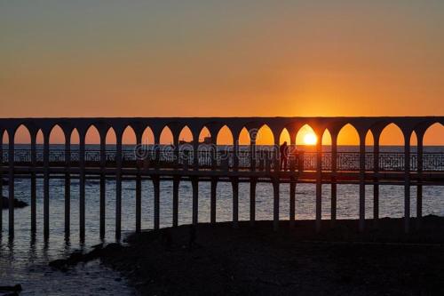 DIMORA IL CAMALEONTE apartments in nature with pool