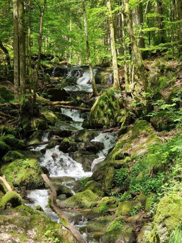 Ferien vom Ich, Bayerischer Wald, Hotel & Restaurant