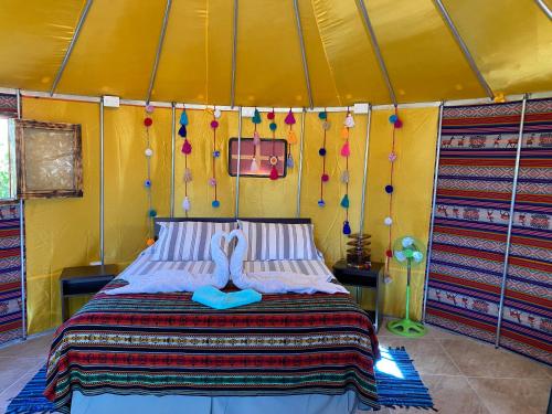 Altos de Quitor , Glamping