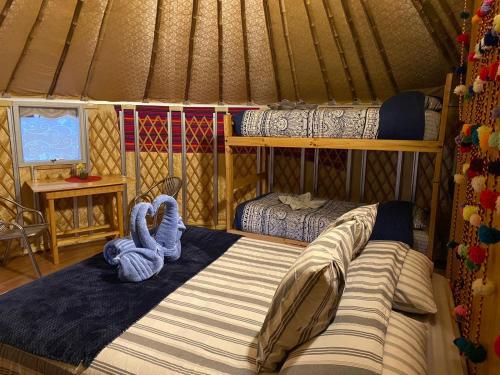 Altos de Quitor , Glamping