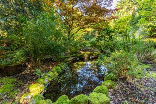 218 - Rhythm Waters - image 37