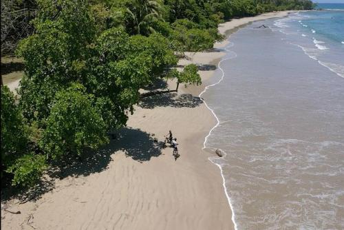 Lujo y Naturaleza Junto al Río a 10 min de Playas Montezuma y Santa Teresa