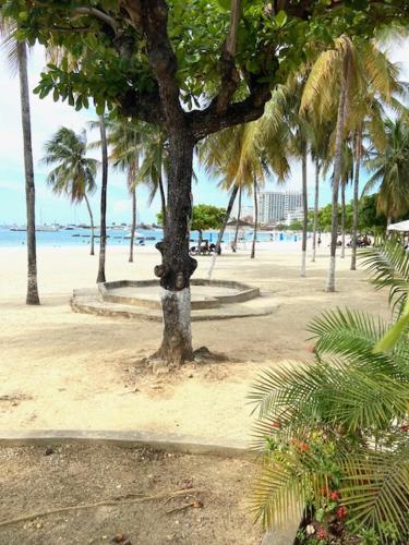 Ocho Rios Vacation Resort Property Rentals photo