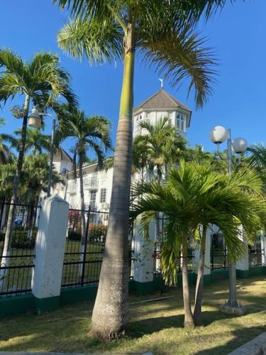 Ocho Rios Vacation Resort Property Rentals photo