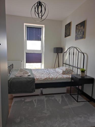 Apartament Wiki Apartament Wiki