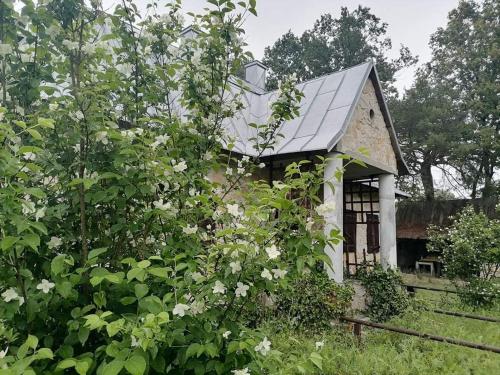 Ostoja Będzyn- Wypoczynek nad Pilicą