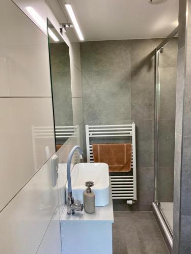Apartmán - E - Vyhlídka nad řekou, Zdiby (foto 10)