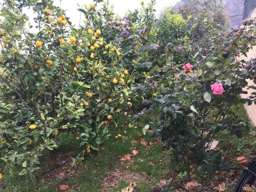 Sens de Dieu - Private luxury