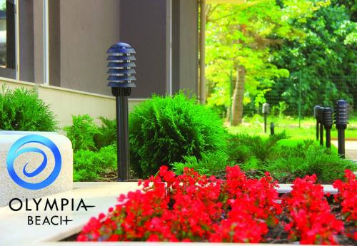 Olympia Beach Complex - image 12