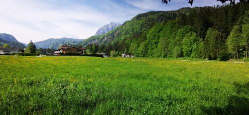  Pension Hohenkendl in Schwendt