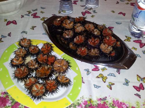 Otranto Le Sancinare Otranto Le Sancinare