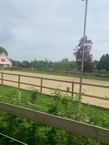 MemmingenBuxheimKartause in Buxheim (Bavaria)