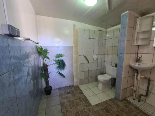 HIME LODGE - image 2