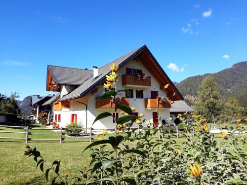 B&B al Buondì - Accommodation - Camporosso in Valcanale