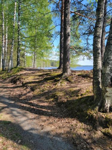 Sunny apartment next to a beautiful lake in the forest in Imatra