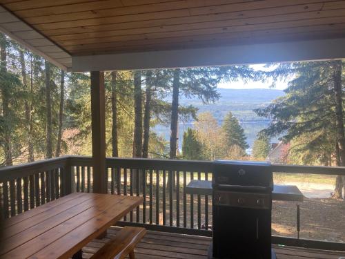 . Cougar Mountain Lake View