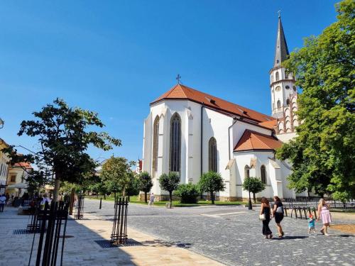 Historical house in the center Levoča with parking