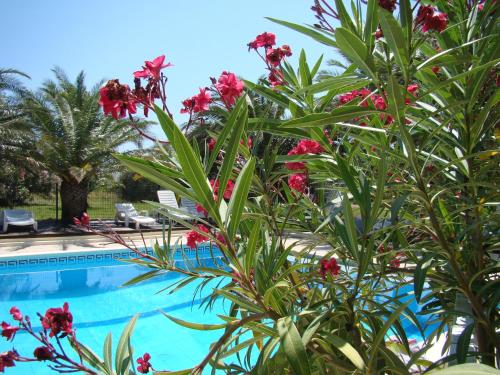 Tropic - main image