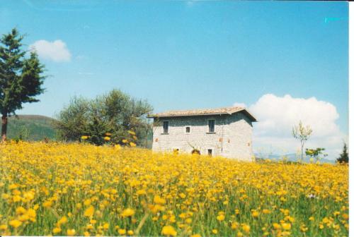 Accommodation in Forlì del Sannio