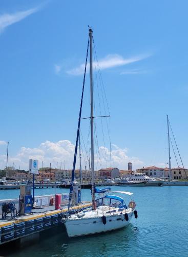 Il maestro di nodi SAIL BOAT