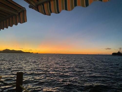 Seaward, Koror (fotografie 8)