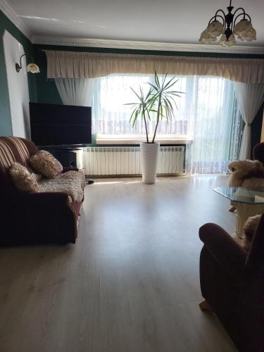 Emi Apartament - Apartment - Ogrodzieniec