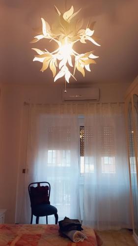  Appartamento incantevole al centro di Torvaianica in Torvaianica