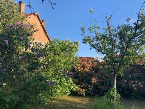 Maison 5 chambres à Lamotte, entre canal et centre équestre