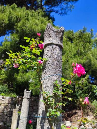 Peaceful house in Dubrovnik