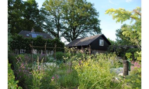  Vakantie Appartement Klavertje 4 in Laren Gld, Pension in Laren bei Bathmen