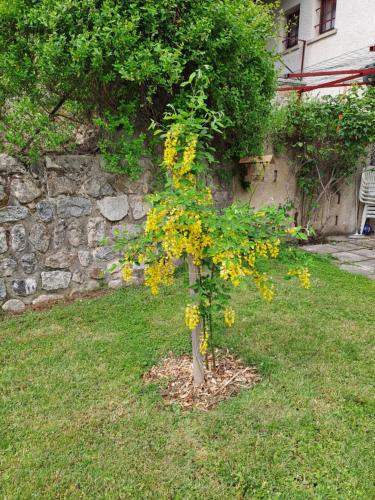 Garden, Namaste in Saint-Julien-Boutières