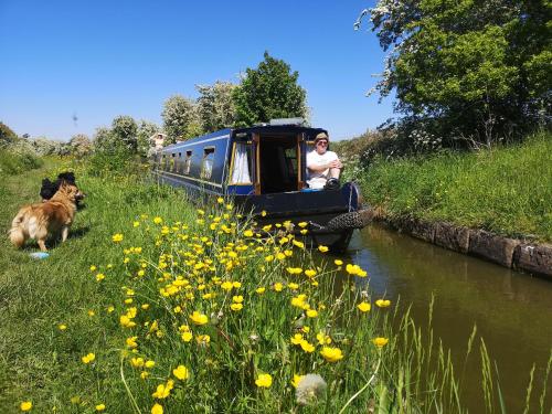 Narrowboat canal holiday from19th august