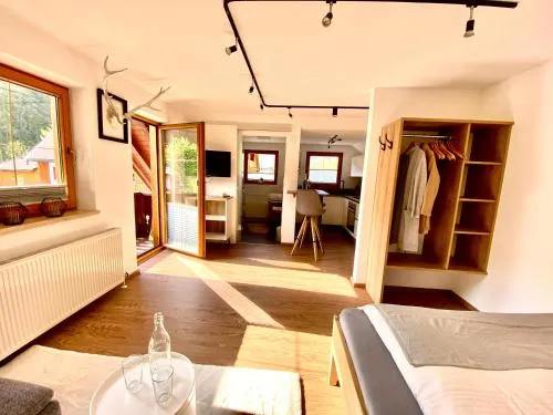 Haus Sonnleitner Studio Rittisberg in Ramsau am Dachstein, Österreich